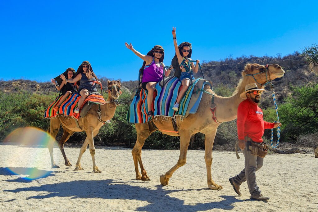 Tour Los Cabos