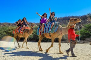 Tour Los Cabos