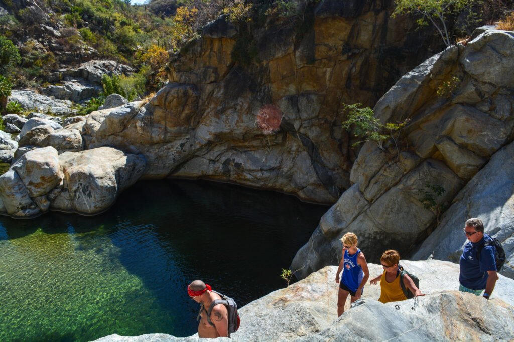 Explora la Sierra de La Laguna: Tu Aventura en Baja California Sur